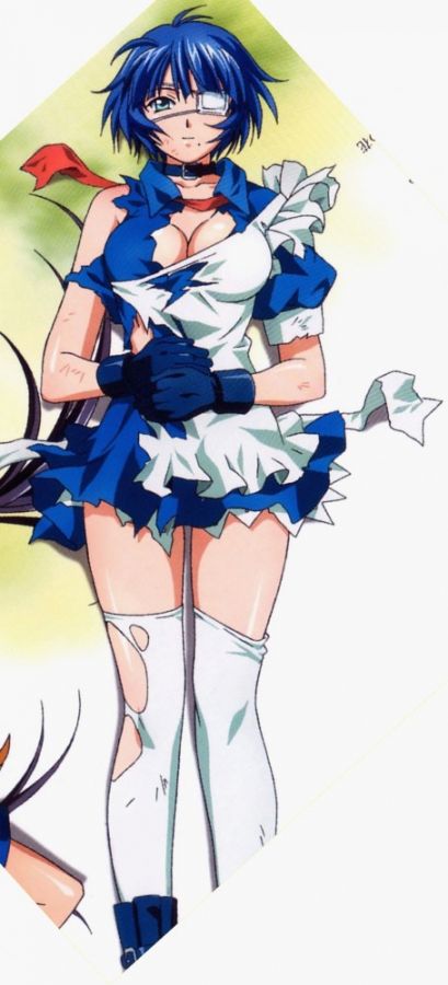 Ikki_tousen_20110828_116.jpg